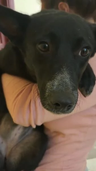 Arisa taglia piccola | Foto 0