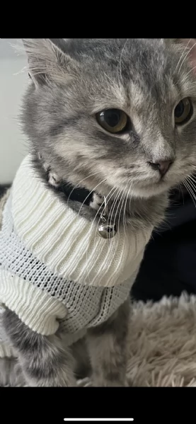 Trilly  in cerca di famiglia  | Foto 0