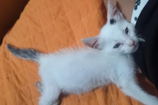 Estrema dolcezza | Foto 3