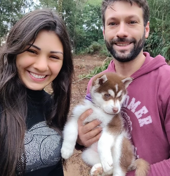 cucciolo di husky per adozione | Foto 0