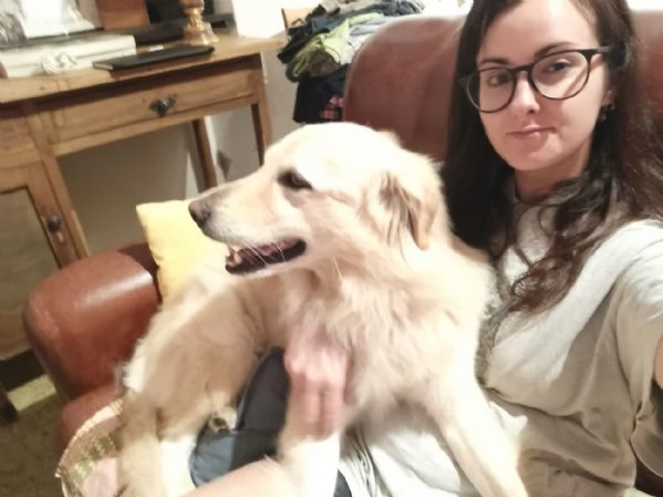 Regalo cane di 7 anni  | Foto 2