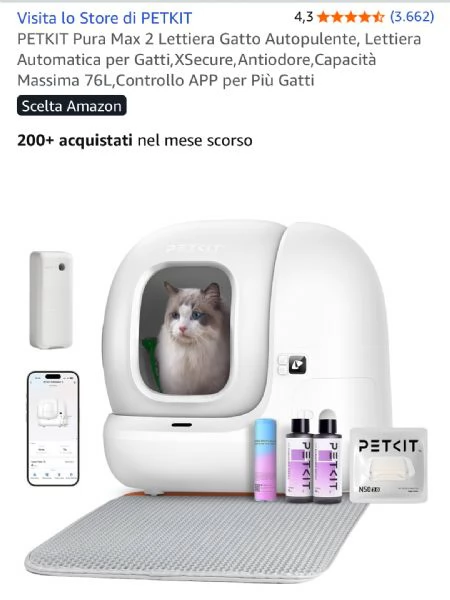 Gatto maschio norvegese | Foto 3