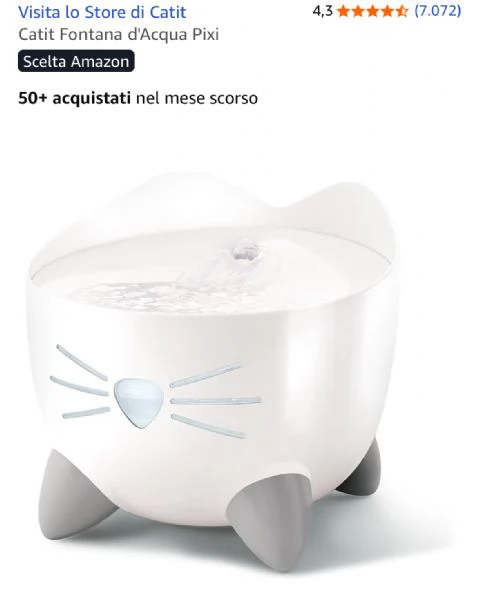 Gatto maschio norvegese | Foto 1