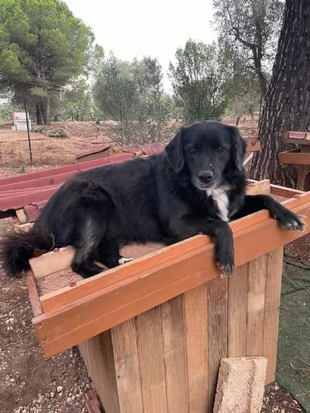DORA CERCA CASA