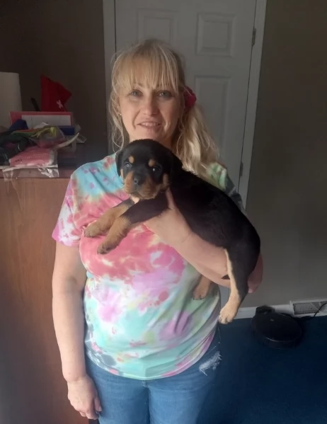 adorabili cuccioli di Rottweiler per adozione | Foto 2