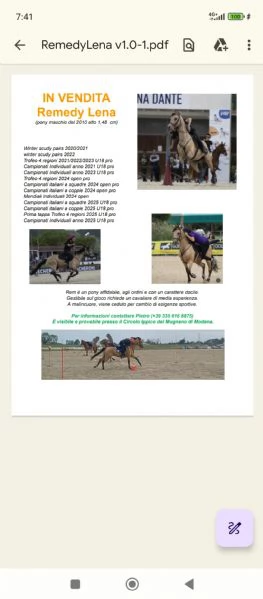 Remedy Lena pony | Foto 1