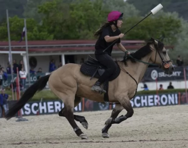 Remedy Lena pony | Foto 0