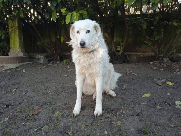 Penelope unanima in cerca di amore  | Foto 2