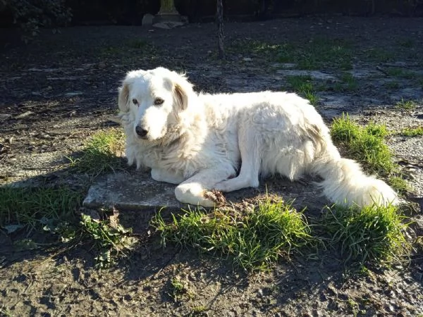 Penelope unanima in cerca di amore  | Foto 1