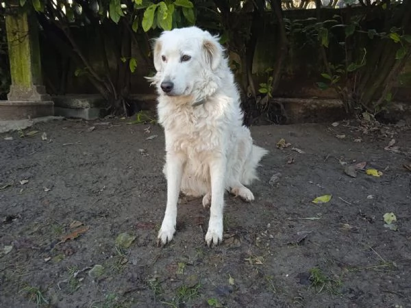 Penelope unanima in cerca di amore  | Foto 0