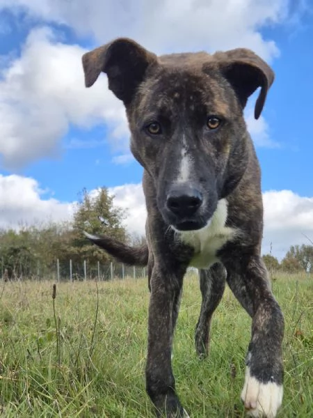 GIULIO  1 ANNO | Foto 1