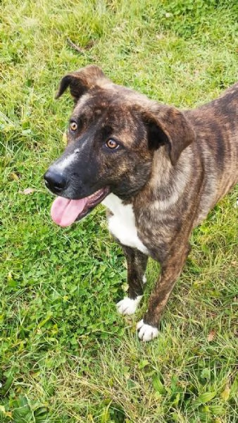 GIULIO  1 ANNO | Foto 0