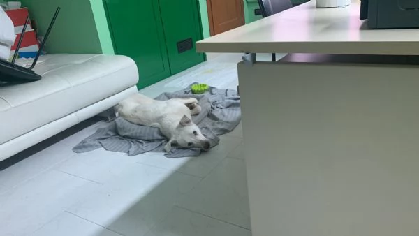 Chiara egrave alla ricerca di tanto amore  | Foto 4