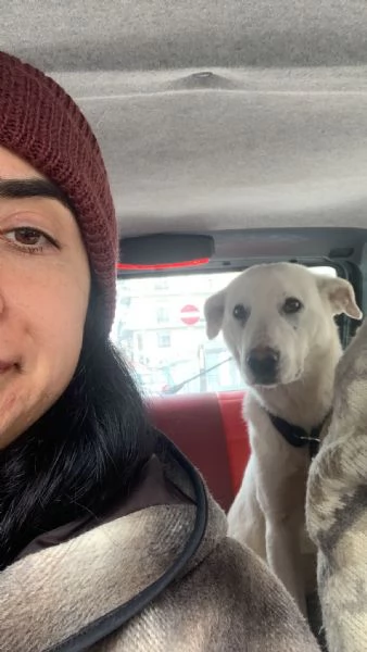 Chiara egrave alla ricerca di tanto amore 