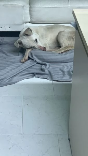 Chiara egrave alla ricerca di tanto amore  | Foto 2