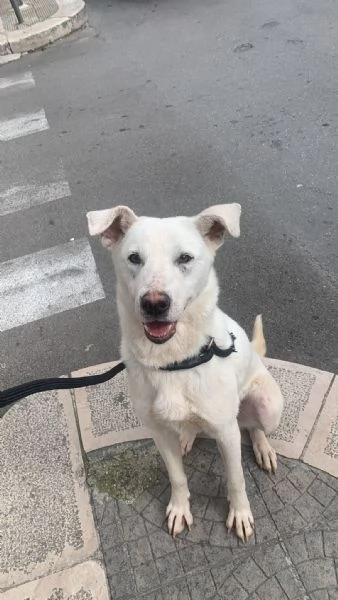 Chiara egrave alla ricerca di tanto amore  | Foto 1