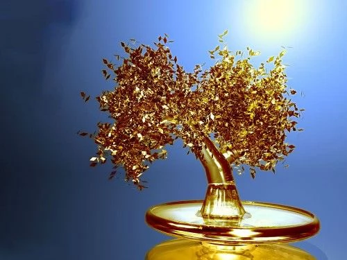 Carte di debito appositamente programmate in vendita