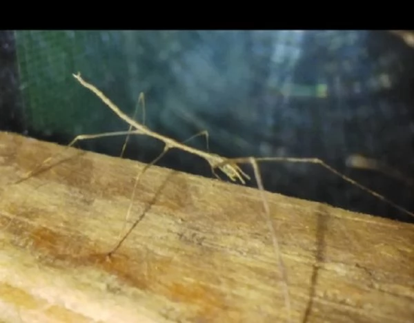 Niente piugrave preoccupazioni