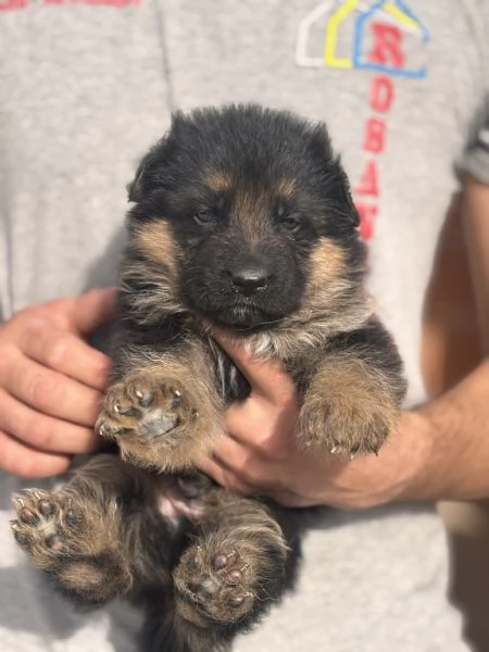 Cercano casa | Foto 1