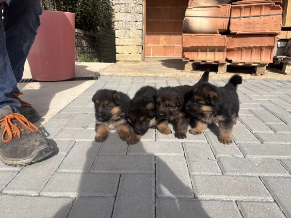 Cercano casa | Foto 0