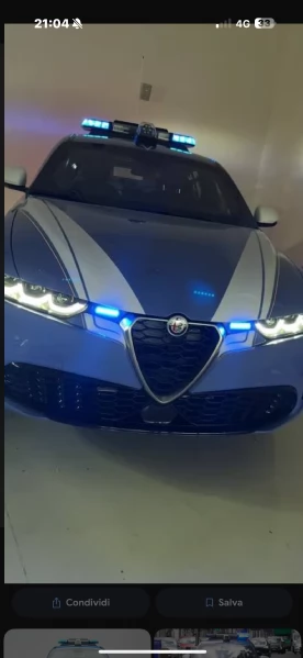 Regalo cane di media taglia 7 mesi  | Foto 4