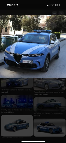 Regalo cane di media taglia 7 mesi  | Foto 3