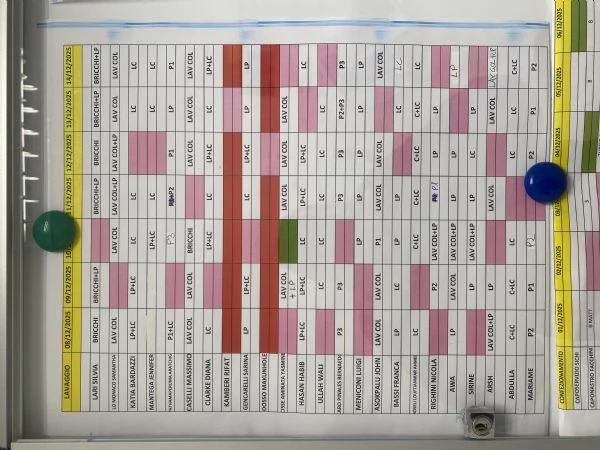 Cerco una Lagotta per farla accoppiare con il mio lagotto  | Foto 3