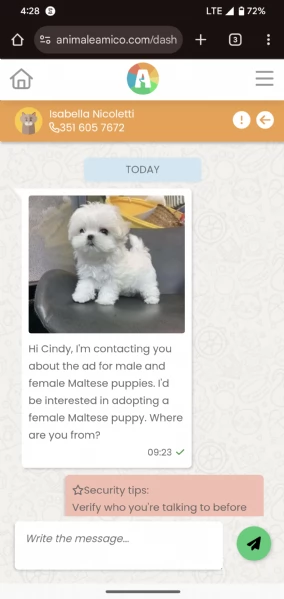 REGALO Carlino  | Foto 0