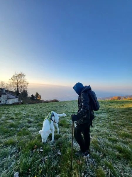 Rufus il bellissimo Pastore Maremmano  | Foto 1
