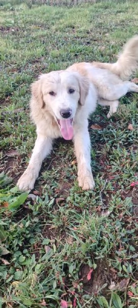 Zoe e Diego  | Foto 1