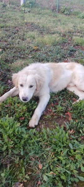 Zoe e Diego  | Foto 0