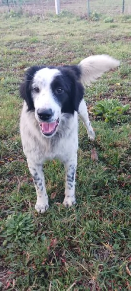 Diego e Zoe  | Foto 0