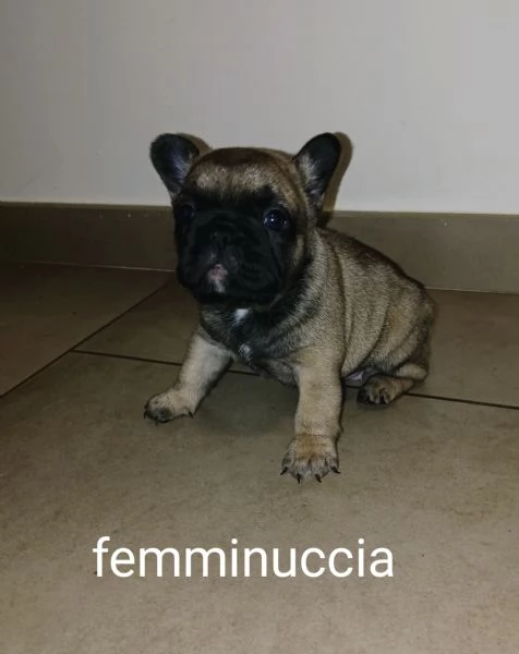 Vendo  | Foto 1
