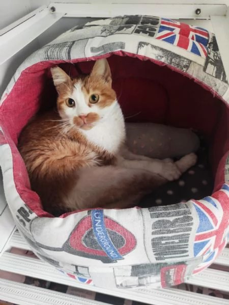 Una mamma per Lea | Foto 4