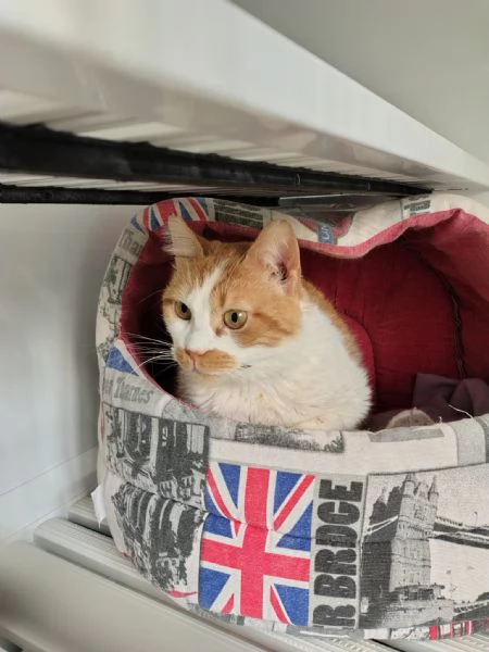 Una mamma per Lea | Foto 3