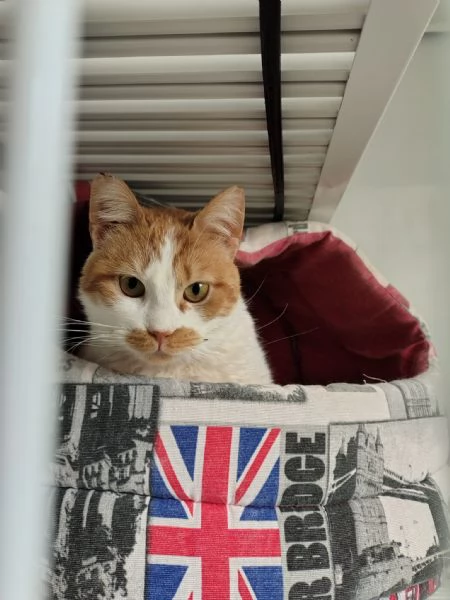 Una mamma per Lea | Foto 2