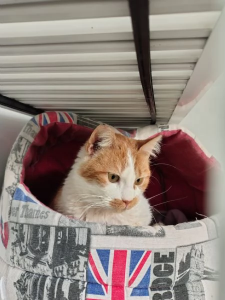 Una mamma per Lea | Foto 1