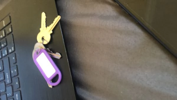 Golden Retriever cuccioli maschio e femmina | Foto 2