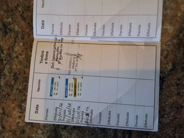 Bulldog francese total blu  | Foto 5