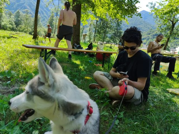 Cagnolina di taglia media Kyra Husky | Foto 3