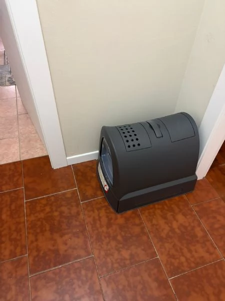 Gatto cerca casa  | Foto 5