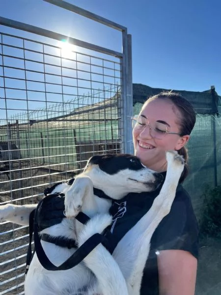 Chloe cucciola di 9 mesi cerca casa | Foto 2