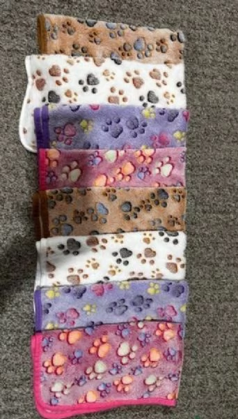 Prestigiosa bellissimi maltese per adozione | Foto 2