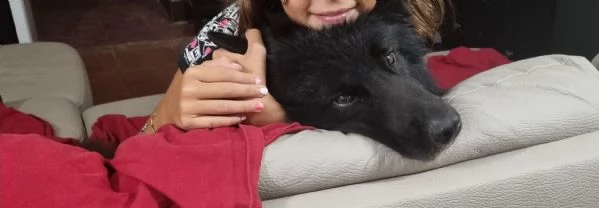 regalo wiski | Foto 0