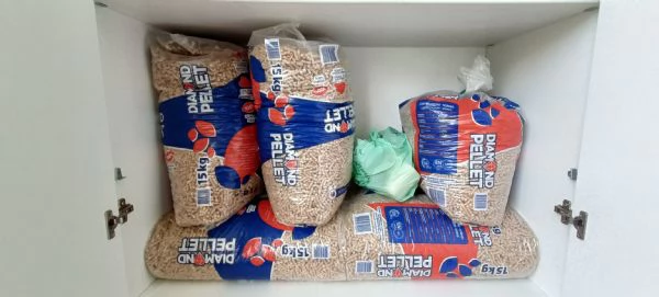 Coniglio Testa di Leone 3 mesi incluso recinto gabbia e molto altro 