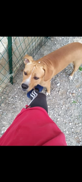 Mambo cerca casa | Foto 3