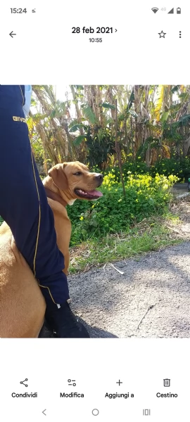 Mambo cerca casa | Foto 1