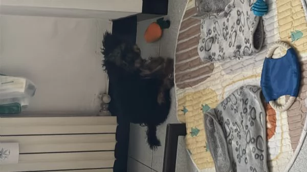 Aurora Migliore Marcella | Foto 6