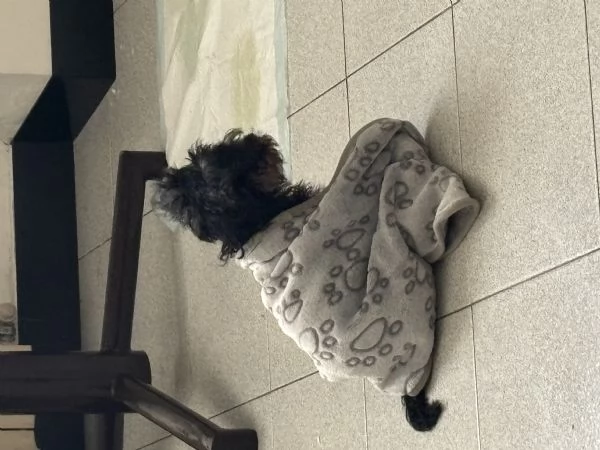 Aurora Migliore Marcella | Foto 5