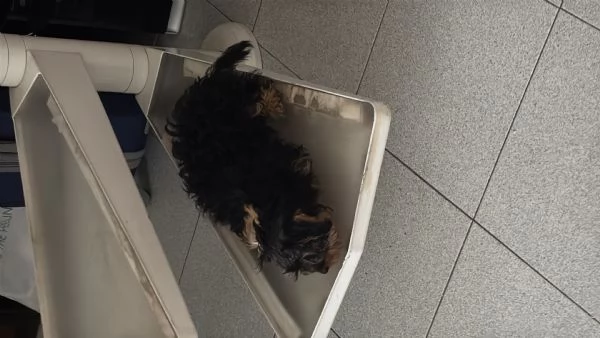 Aurora Migliore Marcella | Foto 4